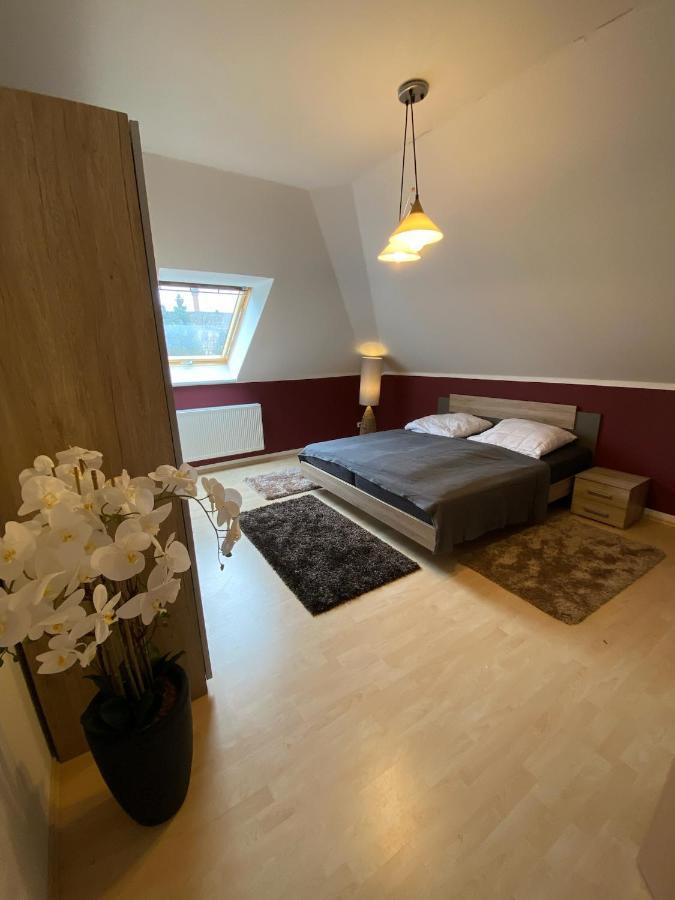 Ferienwohnung Oelzschau - Urlaub Im Leipziger Neuseenland Rötha Exteriér fotografie