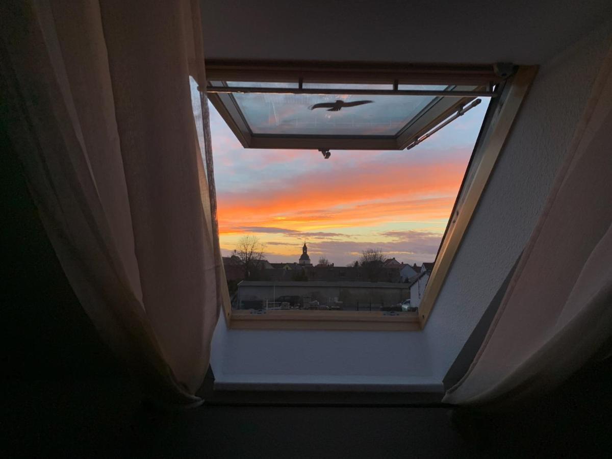 Ferienwohnung Oelzschau - Urlaub Im Leipziger Neuseenland Rötha Exteriér fotografie